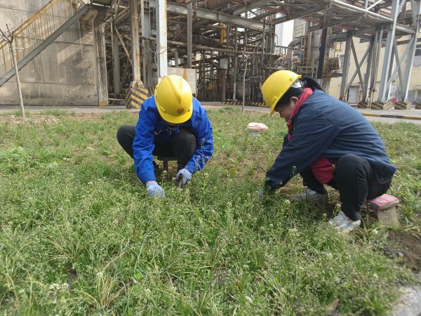3月22日，行政保衛(wèi)部馬師傅和孫師傅在道路兩旁清除雜草。.jpg