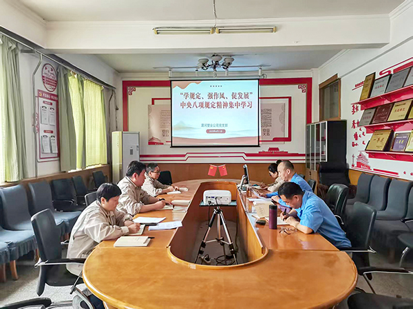 4月11日，渭河塑業(yè)公司全體黨員集中學(xué)習(xí)中央八項規(guī)定精神.jpg