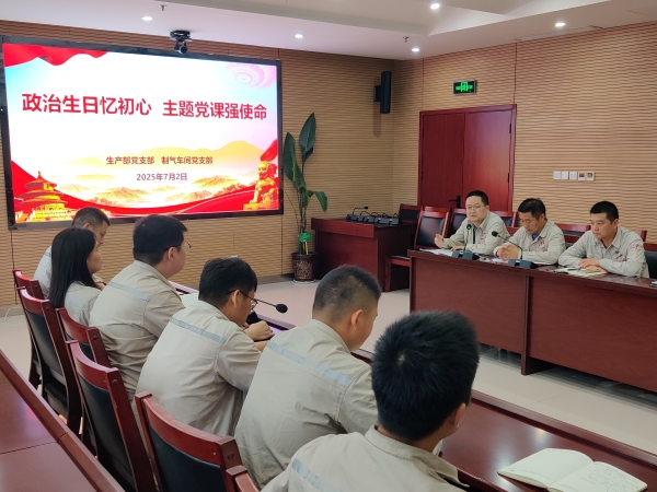 7月2日，主題黨日活動(dòng)現(xiàn)場(chǎng)照片.jpg